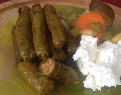 Zeytinyağlı mezeler